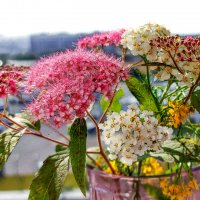 *** :: Владимир Безбородов *** :: Владимир Безбородов