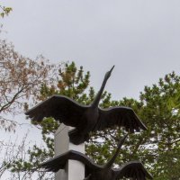 Журавли :: Gen 