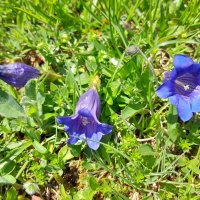 отвернулся и надулся :: Olga отвернулся и надулся :: Olga