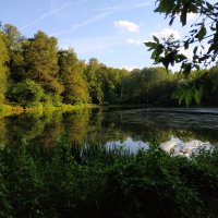 Пять прудов Измайловского парка :: Андрей Лукьянов