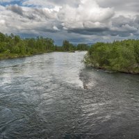 ... :: Жора Житников