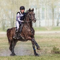 Кросс :: SanSan 