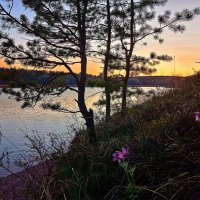 На берегу... :: Ирина *