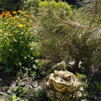 Ak Bulak.  Talgar. :: Murat Bukaev 