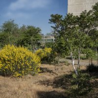 Актау :: Анатолий Чикчирный