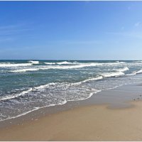 Балтика. :: Валерия Комова