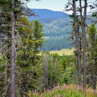 Семинский перевал :: Татьяна Лютаева Семинский перевал :: Татьяна Лютаева