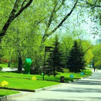 ВЕСЕННИЙ ДЕНЬ В ПАРКЕ РАДУГА :: Валентина 