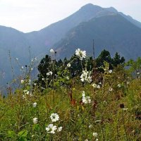 ПО ГОРАМ. :: Виктор Осипчук