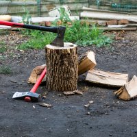 Разминка перед шашлыком :: Игорь Сикорский Разминка перед шашлыком :: Игорь Сикорский