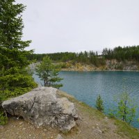 *** :: Николай Гирш