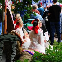 ФОЛК ПИКНИК :: Виктор Никитенко