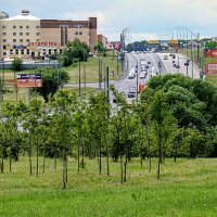 Стоял  на холме он , дум полн, И вдаль глядел  , Пред ним широко неслась дорога,,, :: Анатолий Колосов
