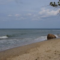 Прогулки по берегу моря...... :: Алёна Савина