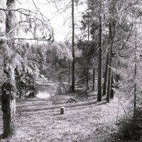 Назва. отсу. :: Денис Безногов