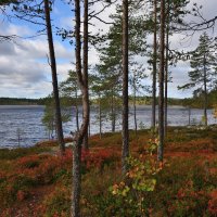 *** :: Александр Хаецкий