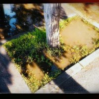 После дождика в четверг. :: Игорь Солдаткин