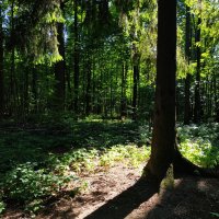 100-я велофотосессия в сезоне! (Более 1300 км) :: Андрей Лукьянов 100-я велофотосессия в сезоне! (Более 1300 км) :: Андрей Лукьянов