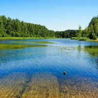 Лето - июль :: Милешкин Владимир Алексеевич Лето - июль :: Милешкин Владимир Алексеевич