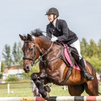 Конкур :: SanSan 