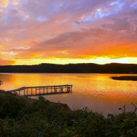 Заводь :: Юрий. Шмаков