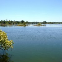 Река Замбези :: Игорь Матвеев 