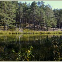 Лето :: Aleksandr Gal