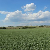 В степи. :: Виктор В степи. :: Виктор