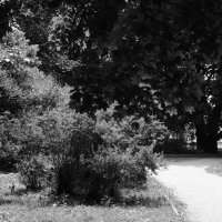 /// :: Виктор Никитенко