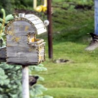 На подлёте... :: Андрей Щетинин
