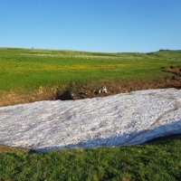 ПЛАТО ЛАГОНАКИ :: Tata Wolf