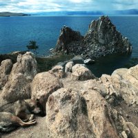 Ольхонский дзен. :: Alexey_Ph5624 