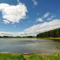 *** :: Николай Гирш *** :: Николай Гирш