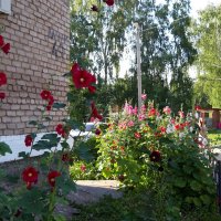 Лето. :: Венера Чуйкова