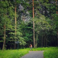 ***** :: Алексей Архипов