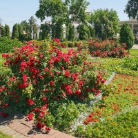 *** :: Роланд Дубровский