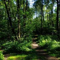 Июль как он есть :: Андрей Лукьянов Июль как он есть :: Андрей Лукьянов