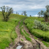 Окрестности :: Игорь Сикорский