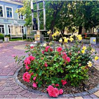 Прогулка по Зеленоградску. :: Валерия Комова Прогулка по Зеленоградску. :: Валерия Комова