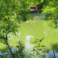 В зоопарке! :: Надежда 