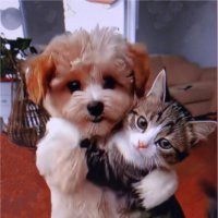 * * * :: Юрий Владимирович 34 * * * :: Юрий Владимирович 34