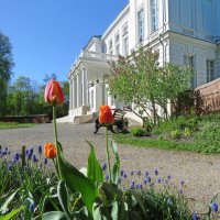 В усадьбе Бобринских :: ИРЭН@ .