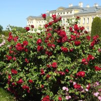 французский парк в Рундале :: ИННА ПОРОХОВА