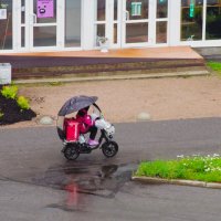 Красота - это хорошо но, грязь.. :: Юрий Куликов Красота - это хорошо но, грязь.. :: Юрий Куликов