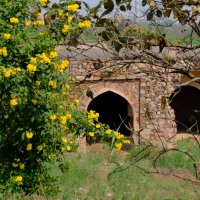 стена старого форта г. Дели :: Георгий А стена старого форта г. Дели :: Георгий А