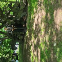 МОИ  ЗВЕРИ  НА  ВОЛЕ ! :) :: Валерий Кокорев