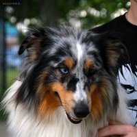 Каспер :: Полина Лопатина (Hunter)