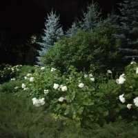 Ночь :: Андрей Хлопонин