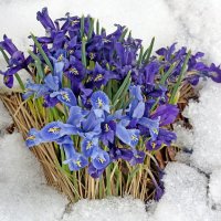 12 апреля в Музеоне :: Михаил Бибичков