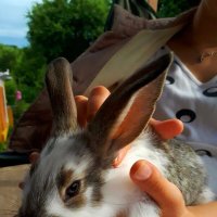 K :: Андрей Л. В.